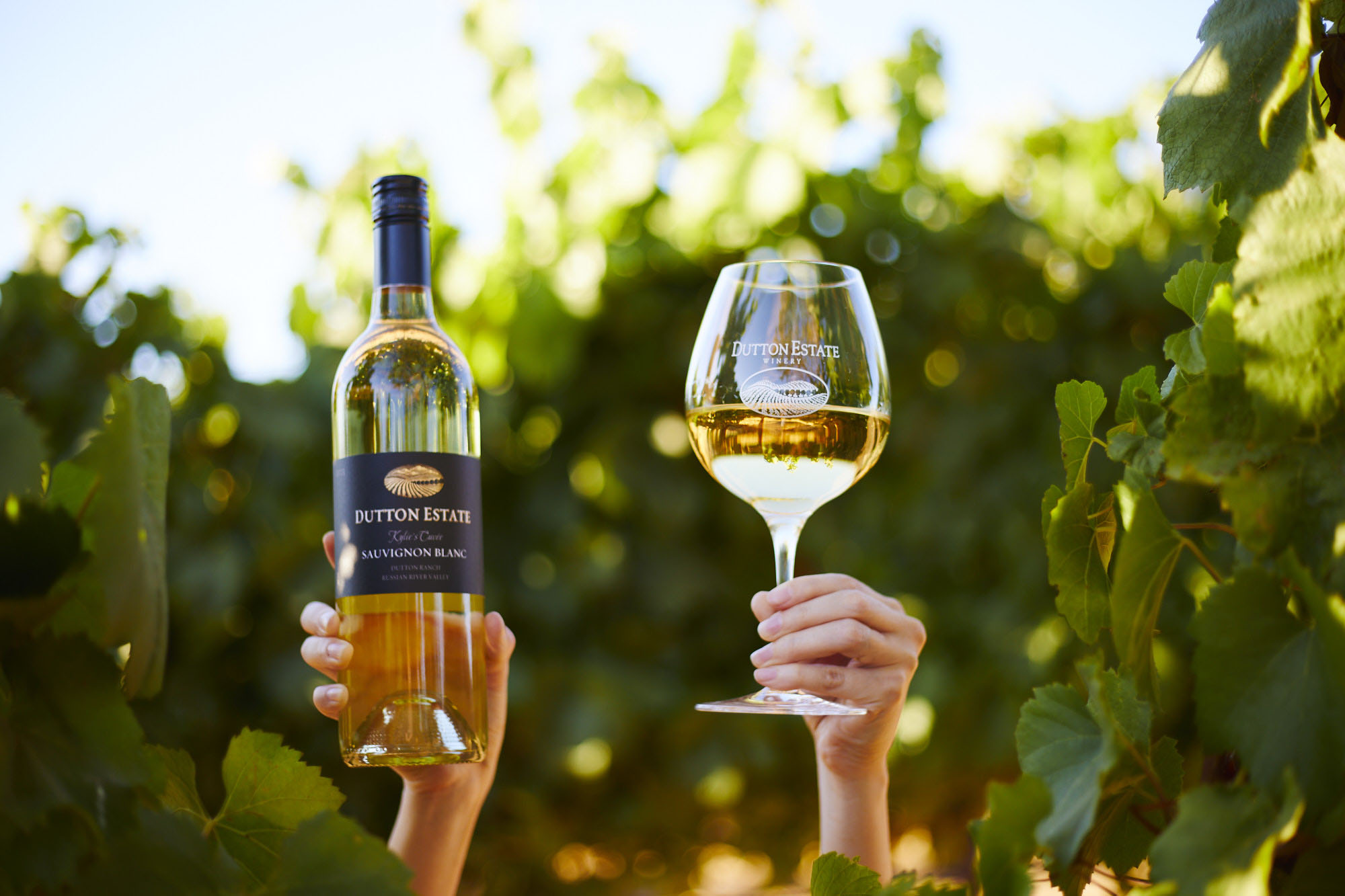 Wine bottle and glass held up in front of a vineyard.