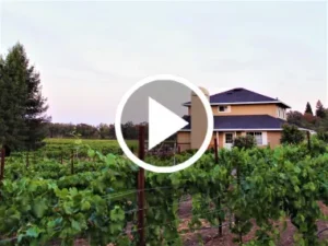 Vineyard thumbnail.