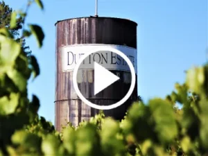 Vineyard