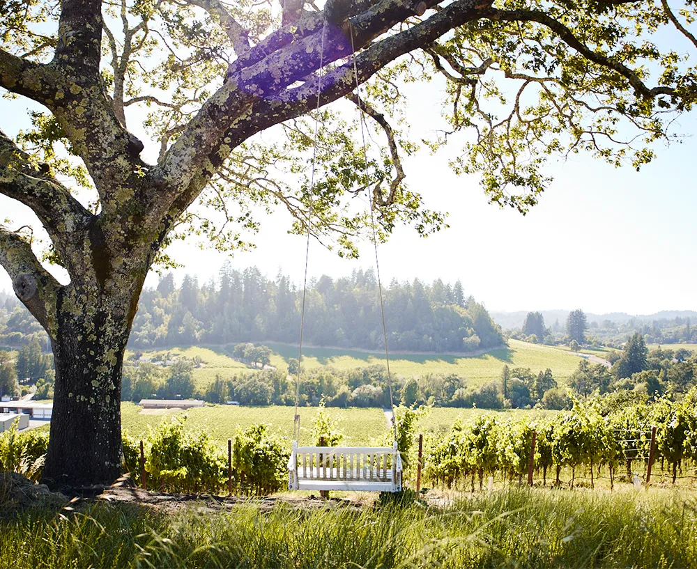 Dutton Estate Orchard