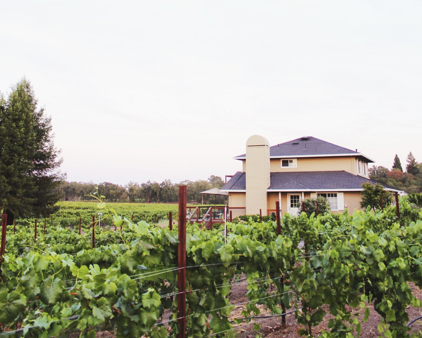 Vacation house