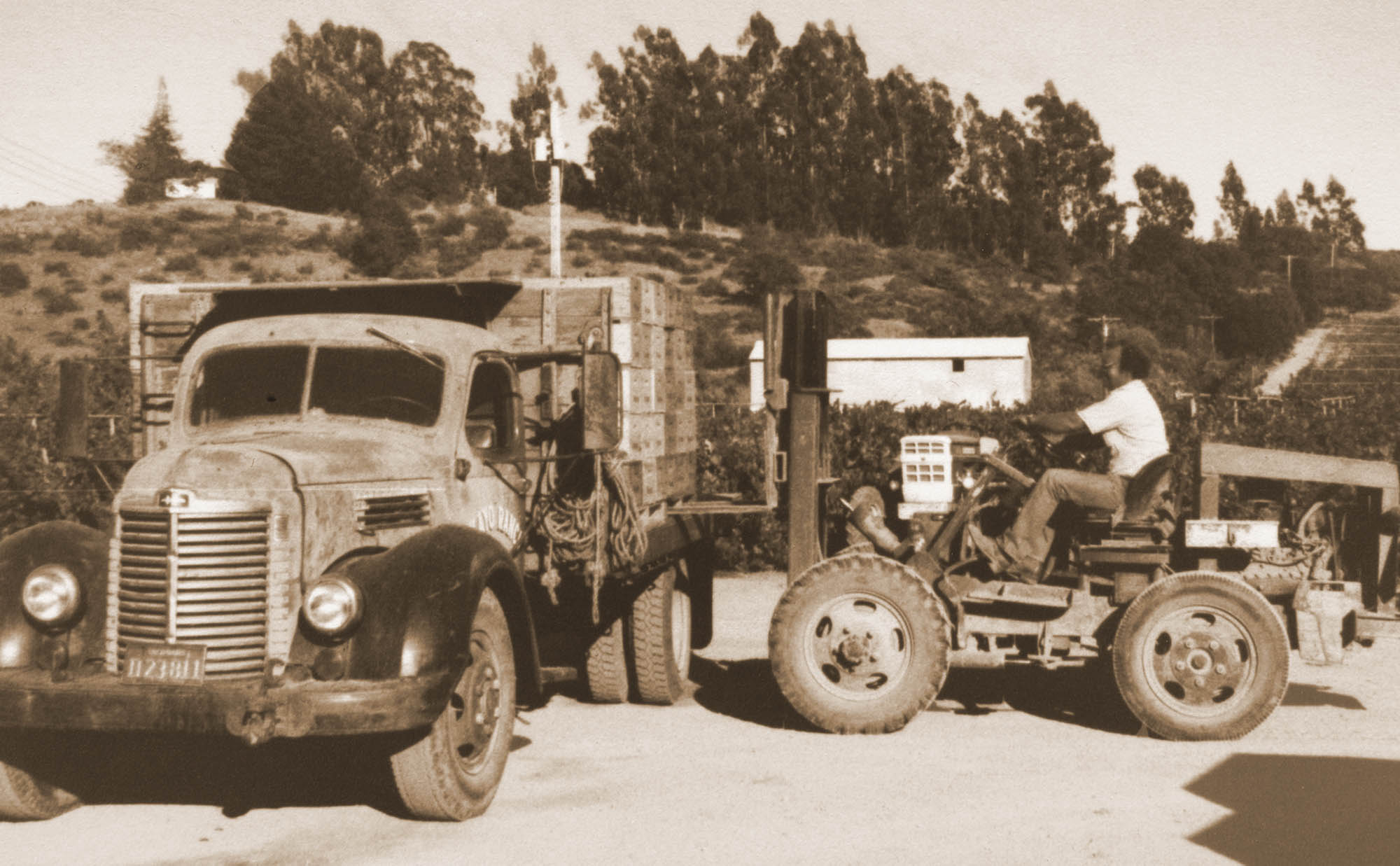 Dutton Ranch